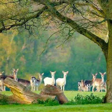 New Forest Retreat Shorefield Country Park Lymington Exterior foto