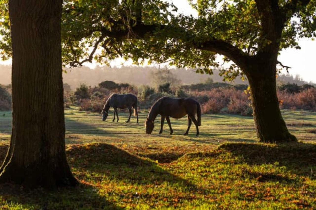 New Forest Retreat Shorefield Country Park Lymington Exterior foto